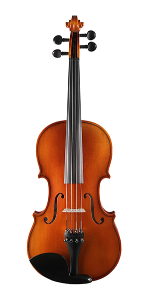 Strunal 920A-1/2 Ravena Скрипка студенческая 1/2.