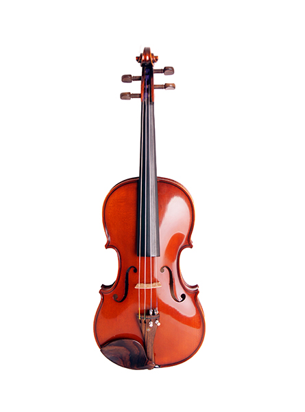 Strunal 333w-4/4 Скрипка концертная