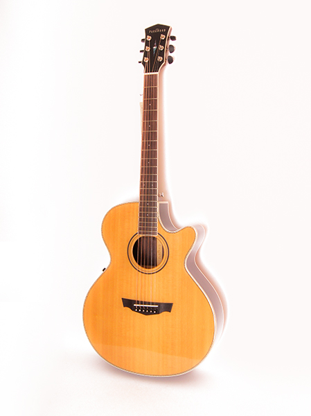 Parkwood PW-570 Акустическая гитара, с чехлом