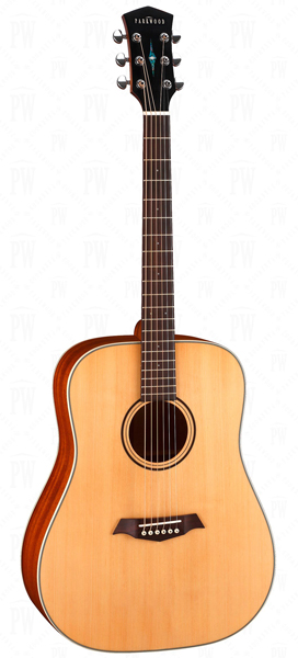 Parkwood S21-GT Акустическая гитара, дредноут, с чехлом, глянец