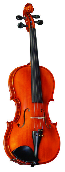 Strunal 175wA-4/4 Скрипка концертная 4/4