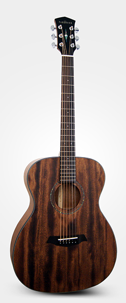 Parkwood S22M-NS Акустическая гитара, с чехлом, матовая