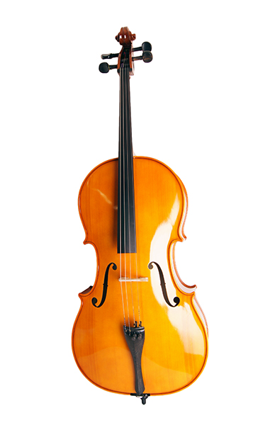 Strunal 4/17C-4/4 Виолончель 4/4